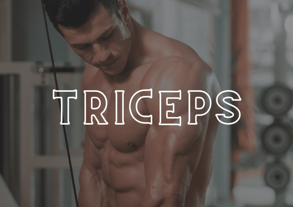 Entrenamiento de triceps en casa con calistenia. Triceps calistenia. Rutina de triceps