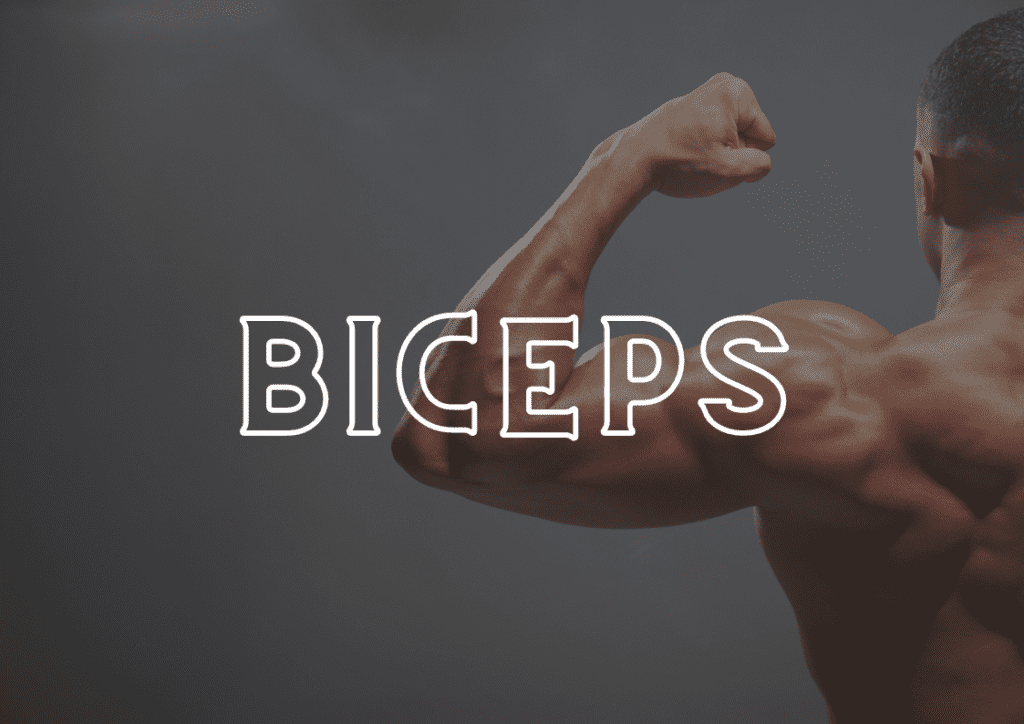 Entrenamiento de biceps en casa con calistenia. biceps calistenia. Rutina de biceps